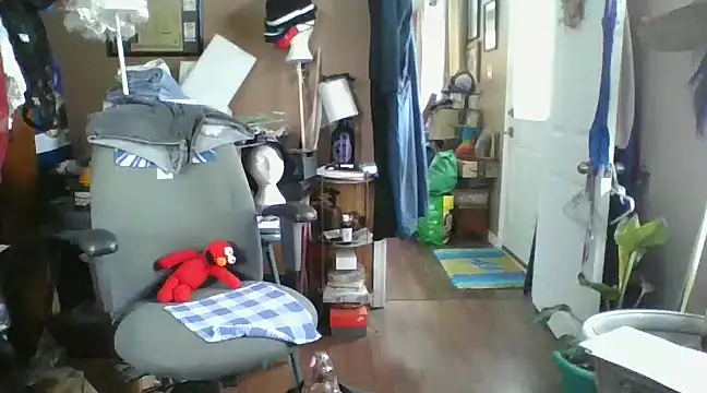 Daremeknot online show from 12.05.24