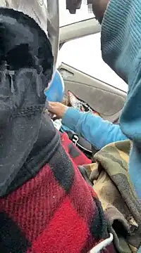 Followthepiper online show from 03.22.25