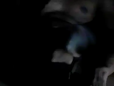 Snapshot of GRATEFUL16 chatting on 02.06.25 GRATEFUL16 online show from 02.06.25