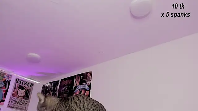 Sachi Meow online show from 10.26.25