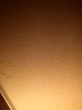 Treemandude online show from 11.11.25