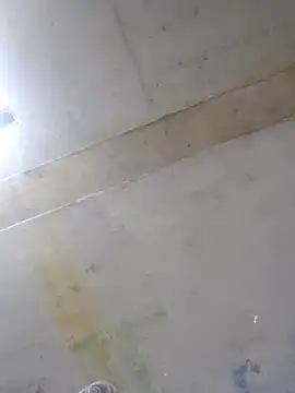 Manolete007x online show from 02.11.26