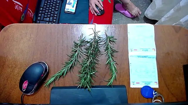 Snapshot of Malaya88 chatting on 02.16.25 Malaya88 online show from 02.16.25