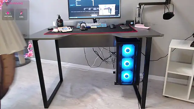 Snapshot of LadySambuca chatting on 02.14.26 LadySambuca online show from 02.14.26