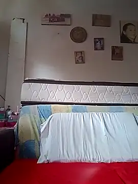 gala2 online show from 03.01.25