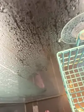 LivingLegend1978 online show from 04.06.26