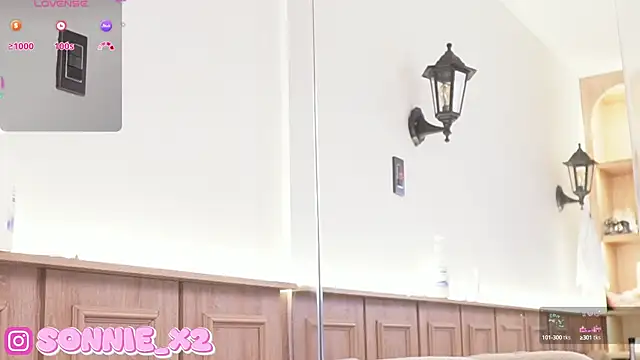 Snapshot of Sonnie_ chatting on 01.20.25 Sonnie online show from 01.20.25