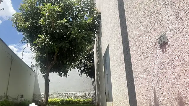 Snapshot of ChocolateCakeQueen chatting on 11.11.25 ChocolateCakeQueen online show from 11.11.25