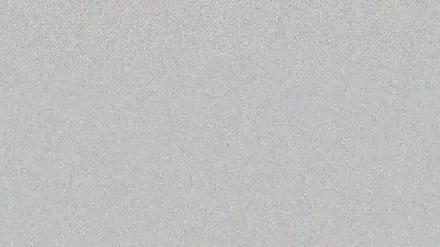 carthylovvve online show from 12.05.24