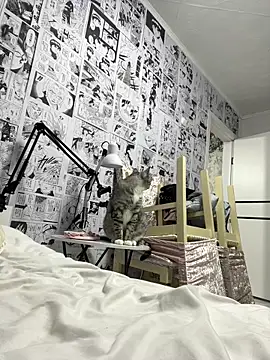 Minami 686 online show from 12.09.24