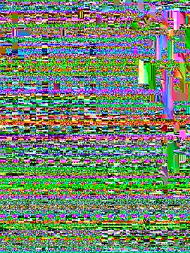 Snapshot of CamelliaLong chatting on 04.08.26 CamelliaLong online show from 04.08.26