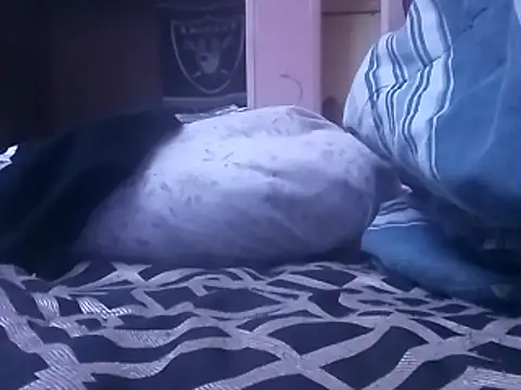 Blkstylion online show from 02.05.26