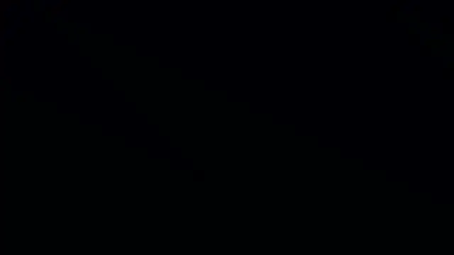 Bonkoleus online show from 03.02.25