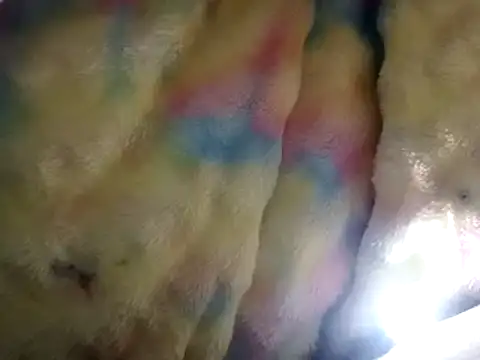 Moreno1813 online show from 03.15.25