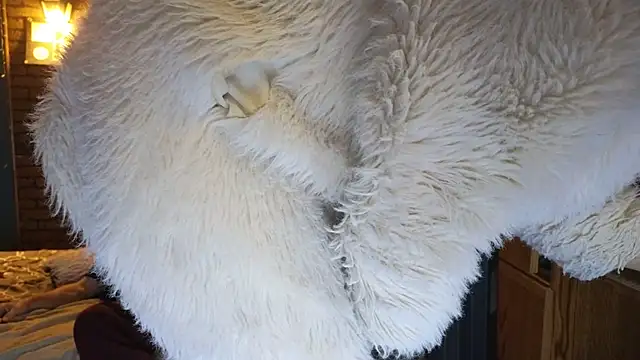 PropertyAndBiker online show from 12.07.24