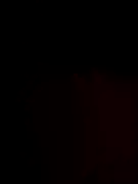 Snapshot of FantasticWonders9 chatting on 11.25.25 FantasticWonders9 online show from 11.25.25