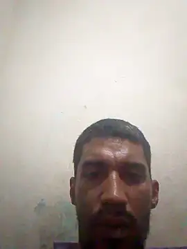 fieltoprj1 online show from 03.05.25