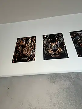 deliaroyal online show from 01.11.25