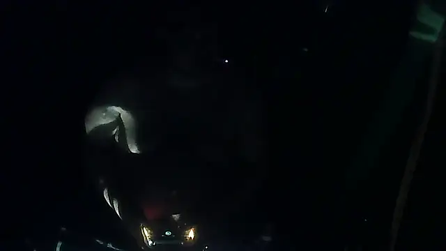 perversalus online show from 03.12.26