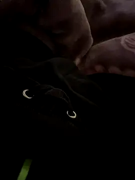 balamuc97 online show from 12.04.25