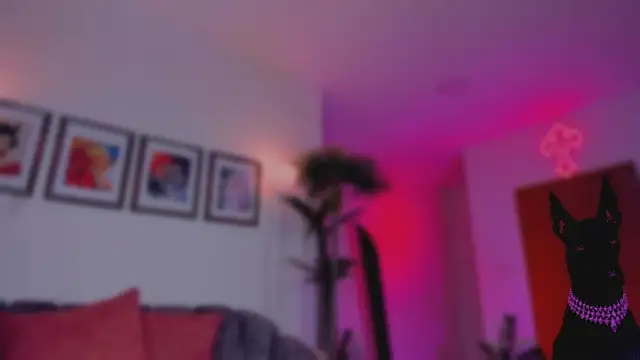 Snapshot of Taylor__foxxx chatting on 11.14.25 Taylor foxxx online show from 11.14.25