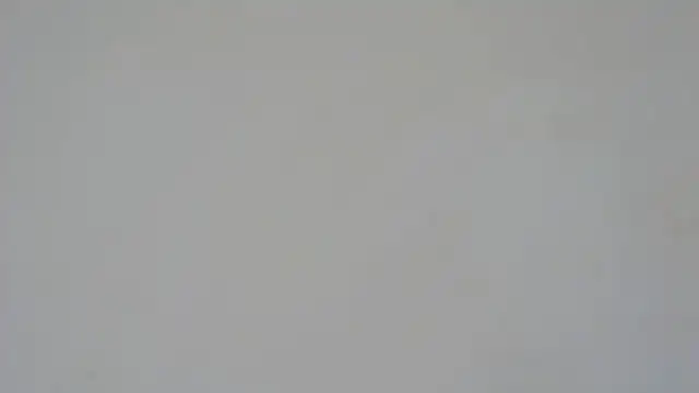 GiseleReine online show from 02.05.25