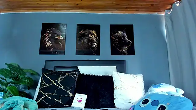 francesco evan online show from 01.09.26