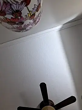 Zander823 online show from 02.03.26