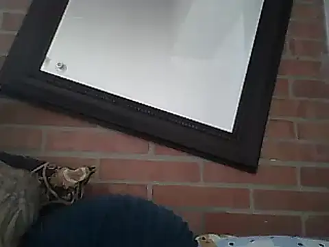 Skater29xx2 online show from 03.15.25