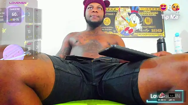 wotton 17 online show from 03.21.25