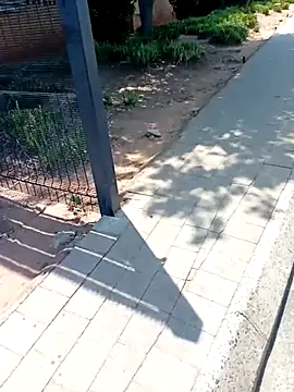 KinkyYours online show from 10.04.25