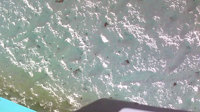 carolinesampaio online show from 03.18.25