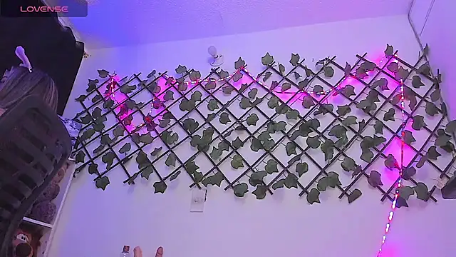 Pucaa  online show from 02.06.25