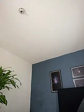 SilvaBranko online show from 10.26.25