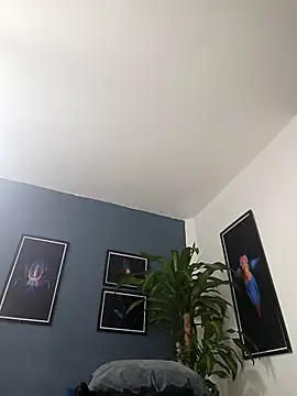 SilvaBranko online show from 12.19.25