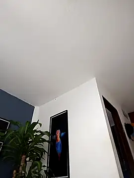 SilvaBranko online show from 12.20.25