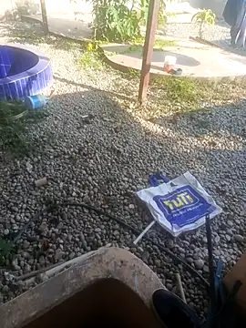 CuchiCuchi online show from 09.12.25