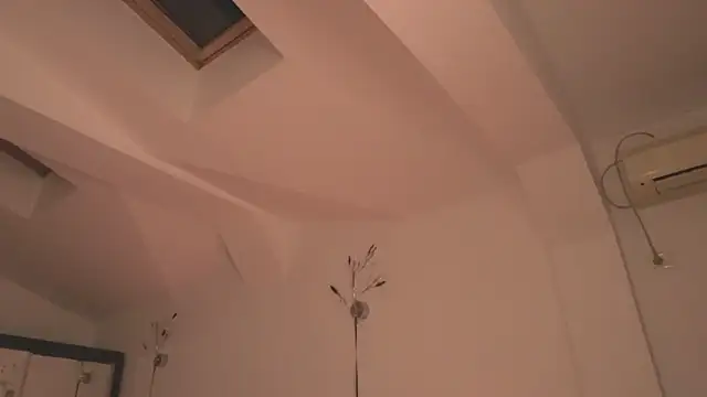 DaisyStacey online show from 01.05.25