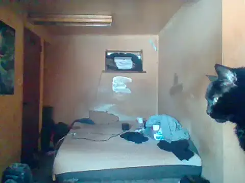 Nightshade7712 online show from 02.04.25