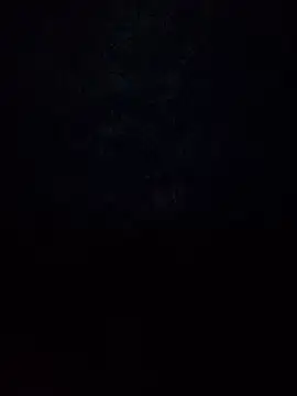 Armyexhibitionistvet online show from 11.13.25