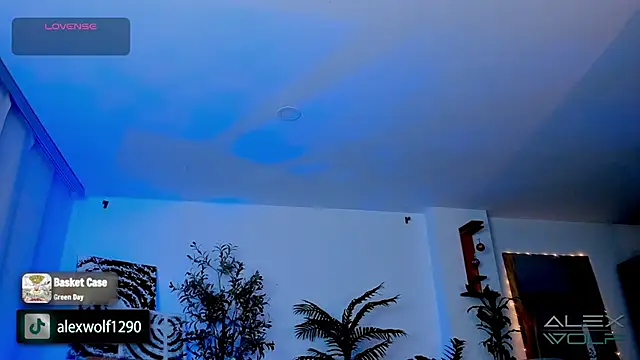 alex wolf  online show from 01.17.25