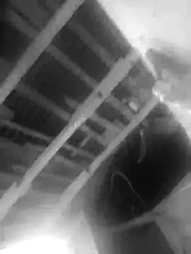 Jerryhottt online show from 11.20.25