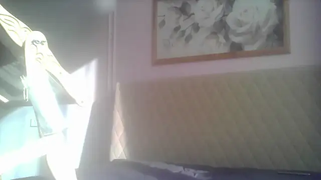 SunElizabeth online show from 06.12.26