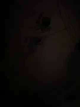 Snapshot of EnricoGio chatting on 01.15.26 EnricoGio online show from 01.15.26