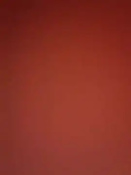 kikkastar online show from 12.25.24