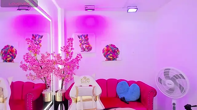 Miss dolly  online show from 02.12.25