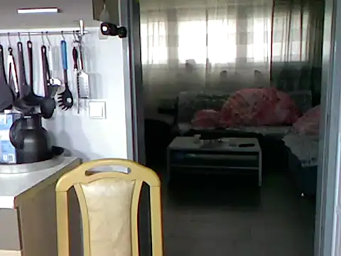 Snapshot of pimmelmann3 chatting on 11.15.25 pimmelmann3 online show from 11.15.25