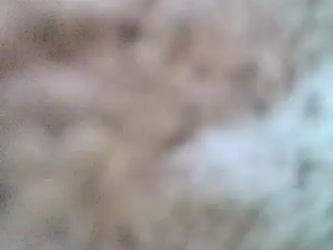 DaddyQuimHot online show from 02.09.25