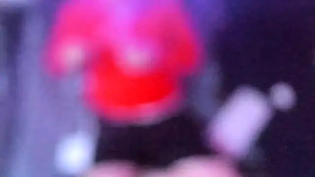stillwild online show from 07.14.26