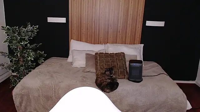 dafne bss online show from 03.06.25